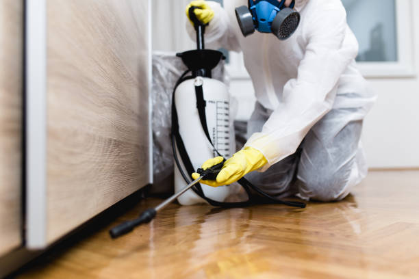 Best Rat Extermination Near Me  in Raintree Plantation, MO