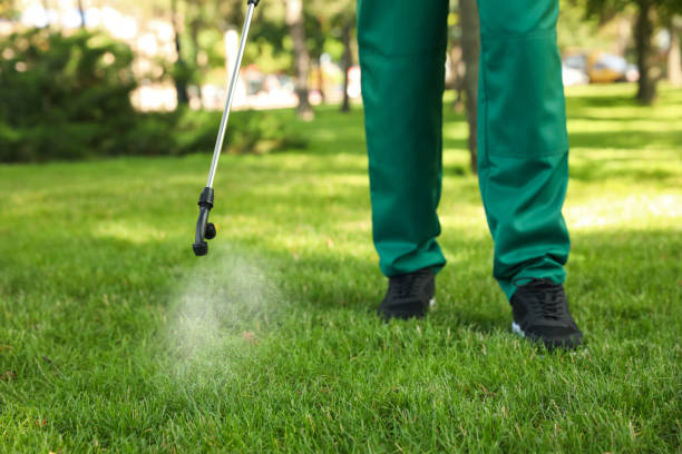 Best Emergency Pest Control  in Raintree Plantation, MO